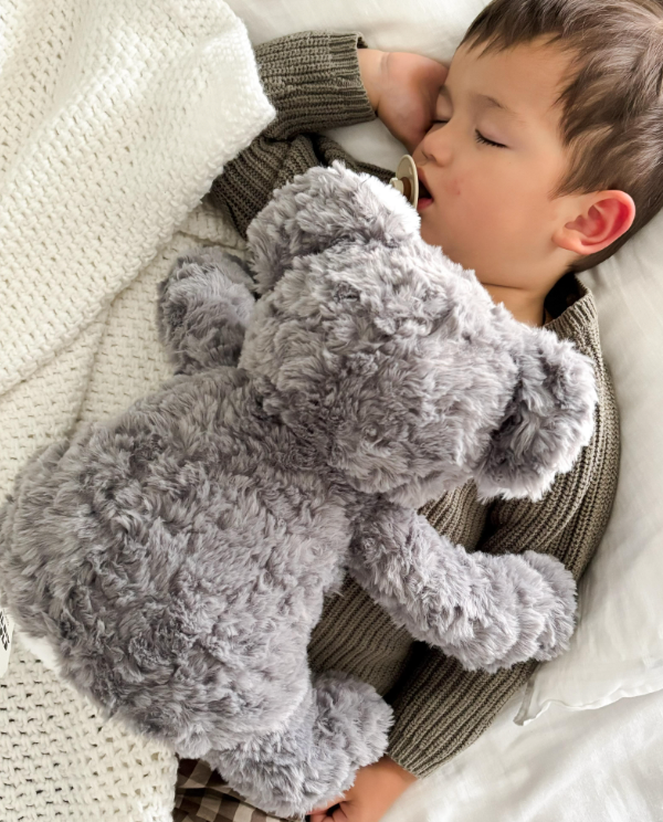 Meet Euca the Koala: the science‑backed cuddle turning bedtime into the best part of the day